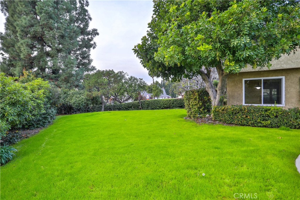 2230 Edinboro Avenue