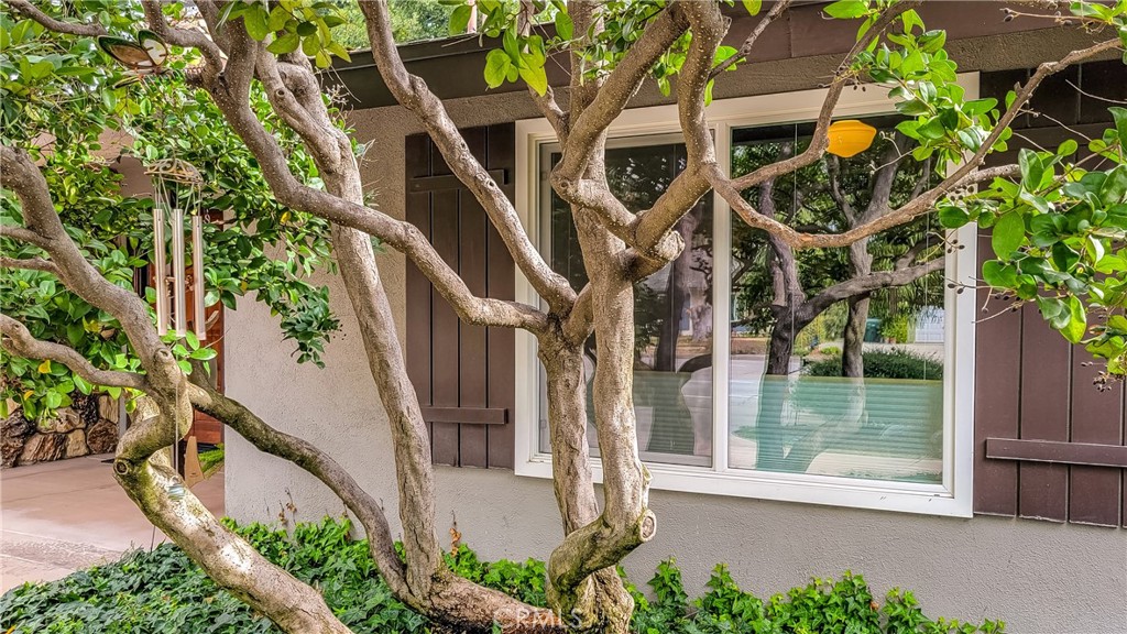 1648 N Mountain Avenue