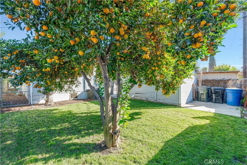 1131 Wisconsin Street