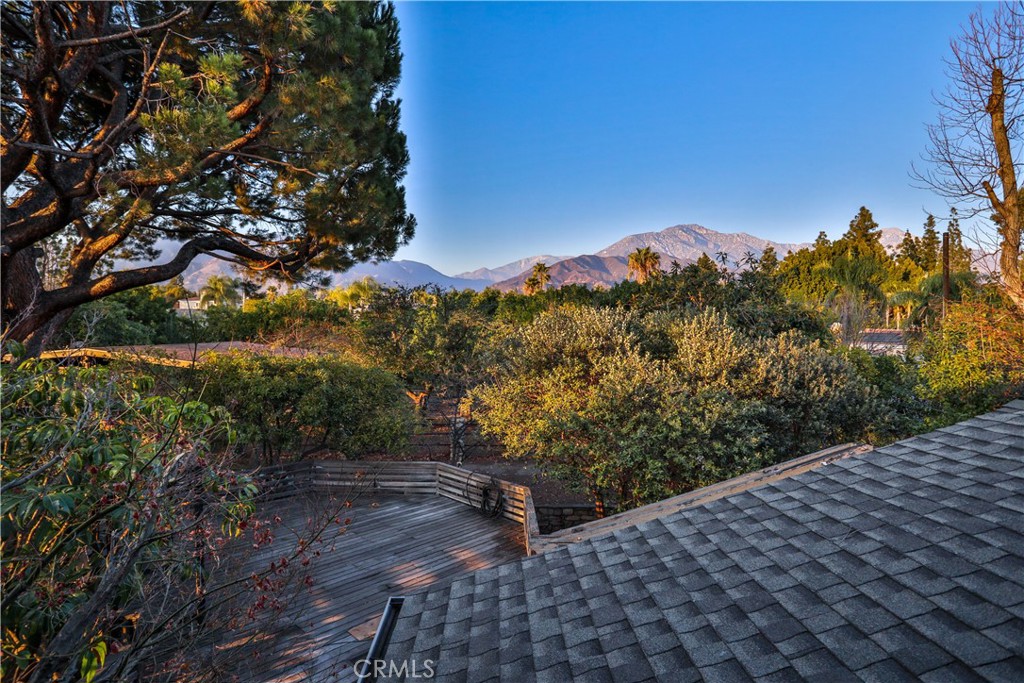 1890 Palomino Avenue