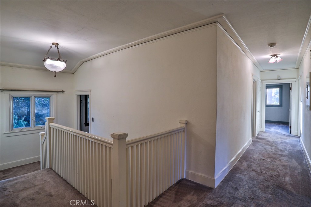 1890 Palomino Avenue