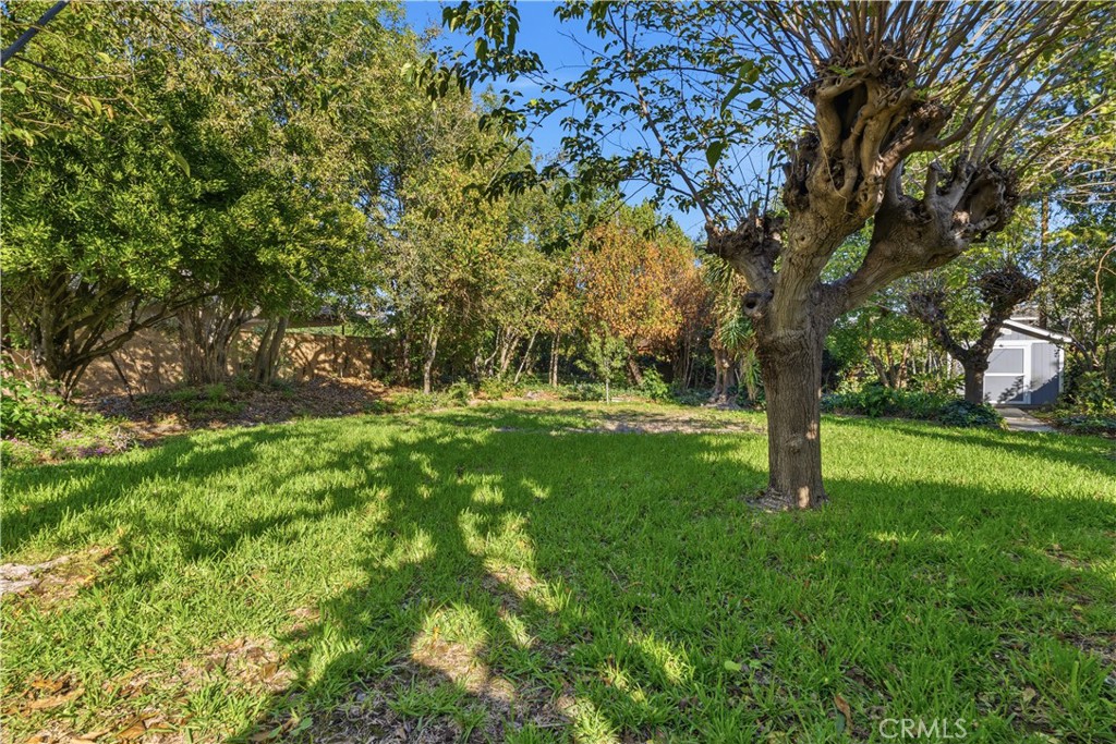 1386 N Tulare Way