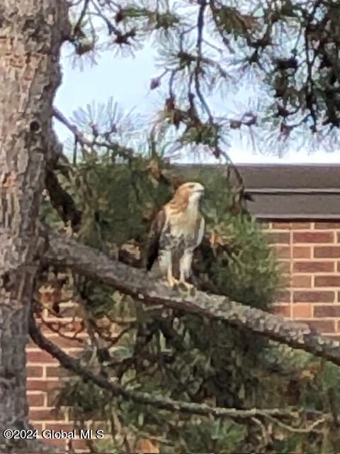 1405 Fox Hollow Road