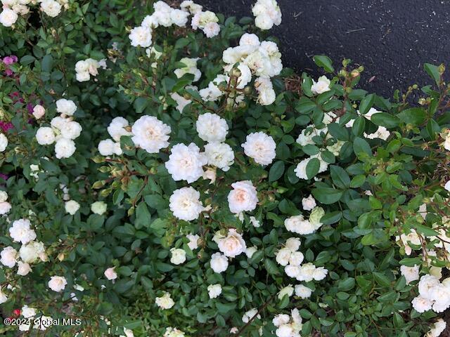 1405 Fox Hollow Road