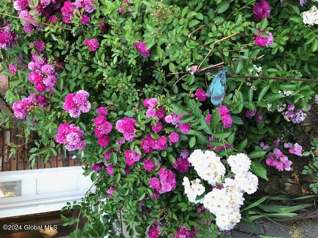 1405 Fox Hollow Road