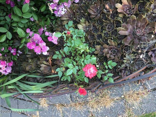 1405 Fox Hollow Road