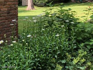 780 St. David's Lane