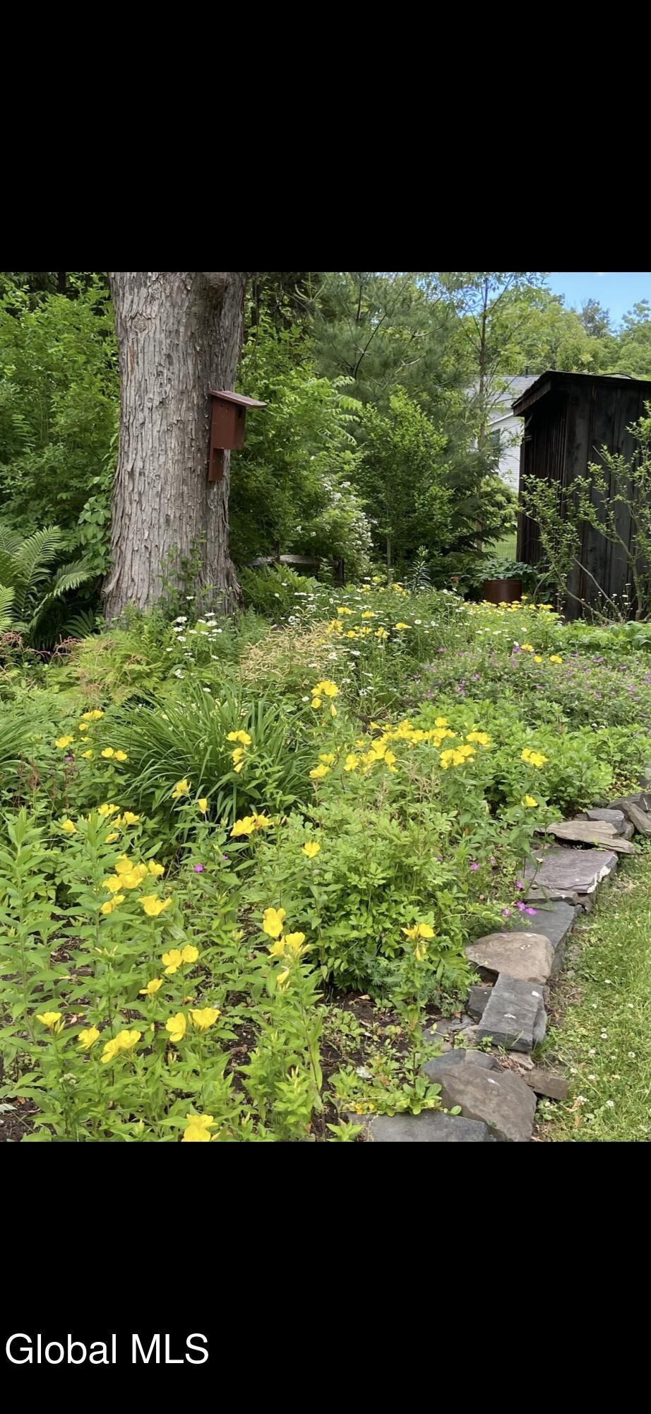 664 St. David's Lane