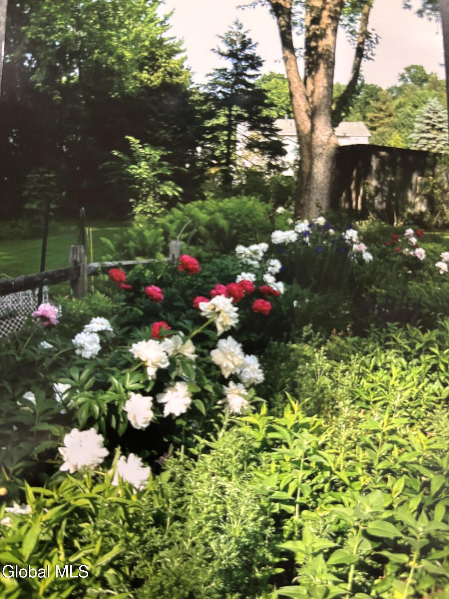 664 St. David's Lane