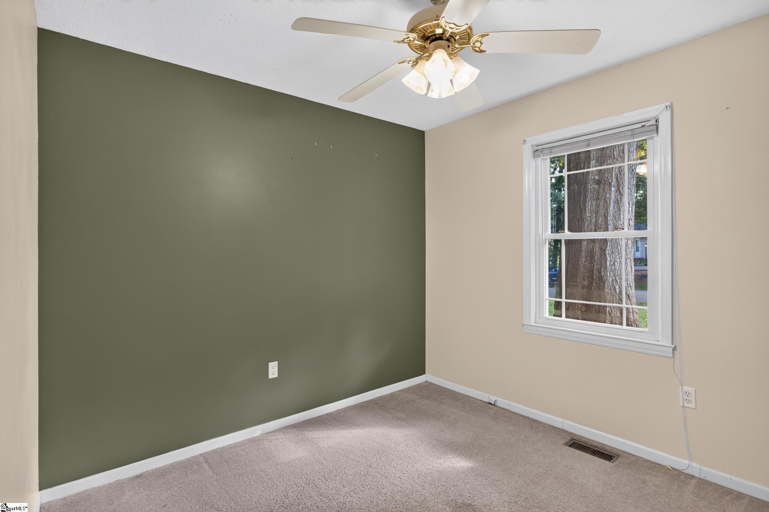 Empty carpeted bedroom with an olive accent wall, ceiling fan, and window overlooking a large tree.