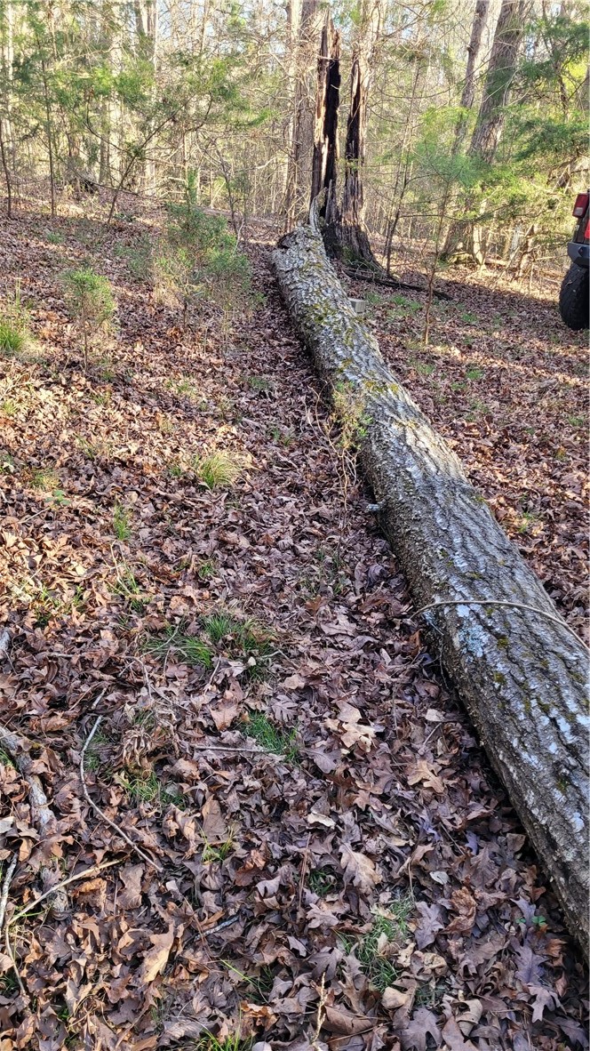 1096 Lake Secession Road