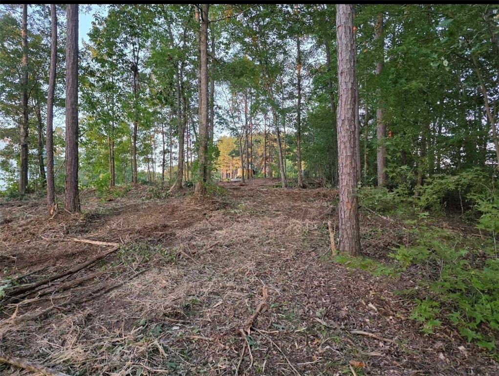 Lot 12 Creekpoint Drive