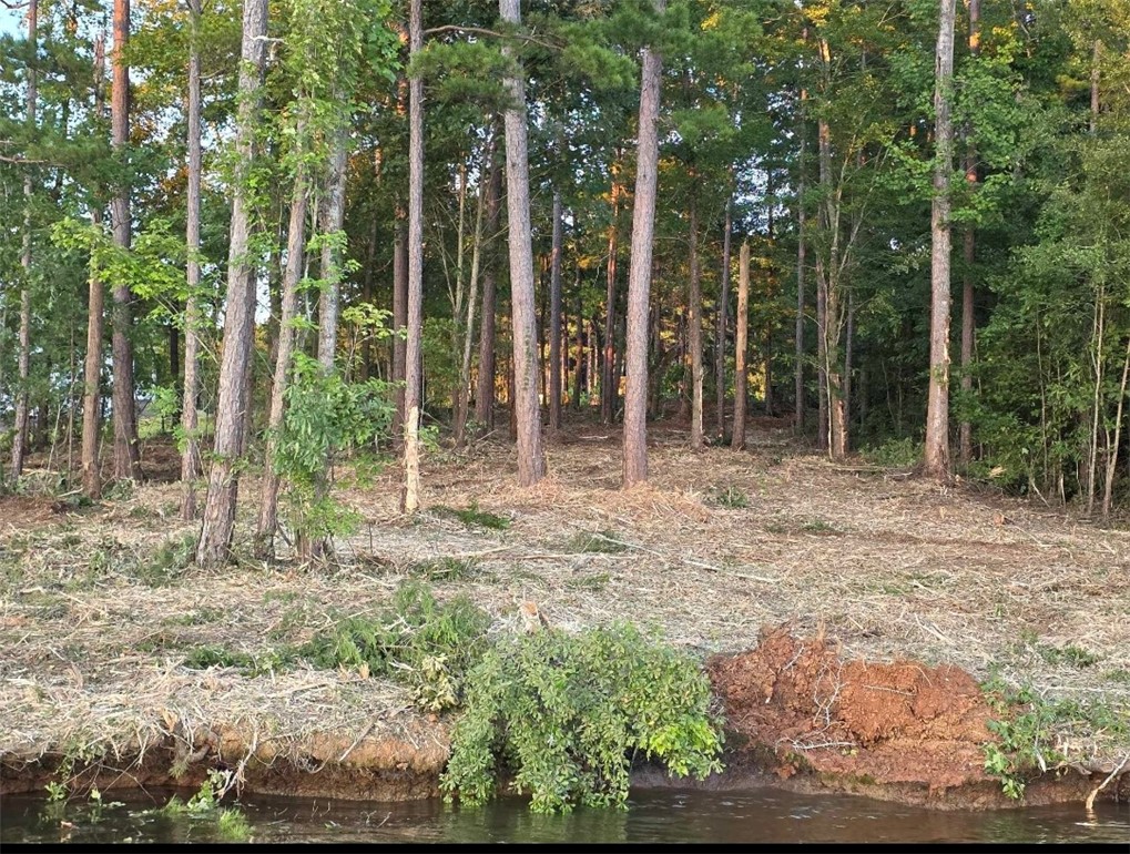 Lot 12 Creekpoint Drive