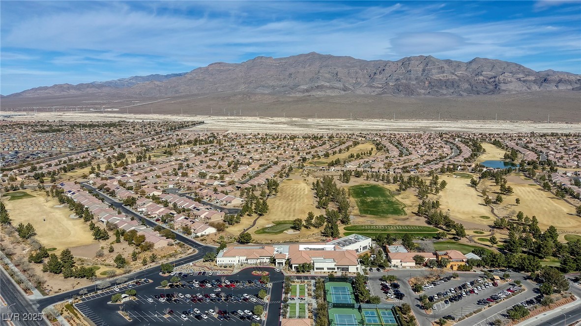 7828 Homing Pigeon Street