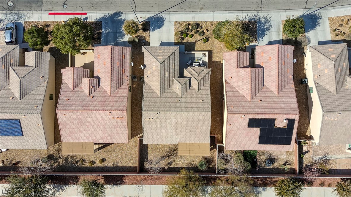 7828 Homing Pigeon Street