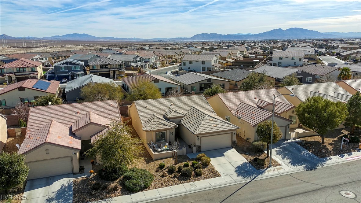 7828 Homing Pigeon Street