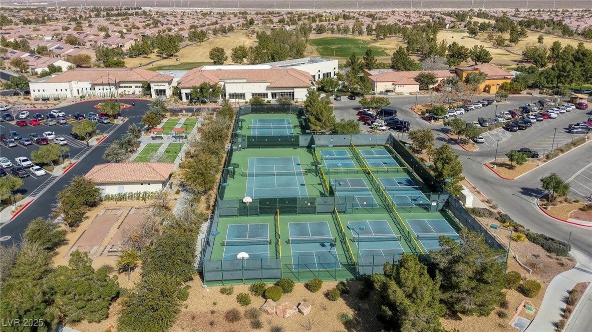 7828 Homing Pigeon Street