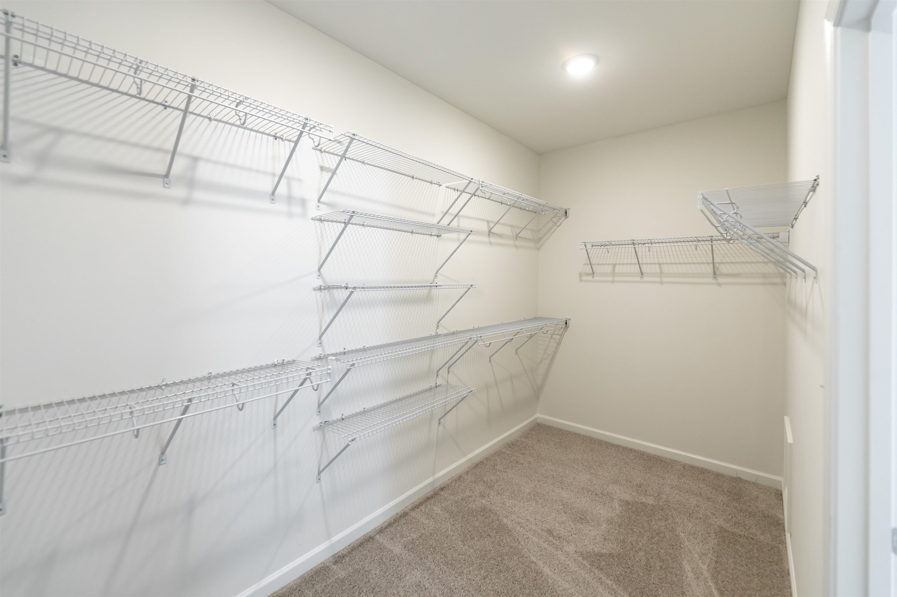 80 DORAL LOOP