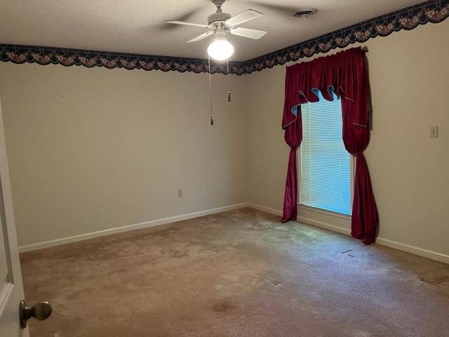 365 SCARLETTS WAY