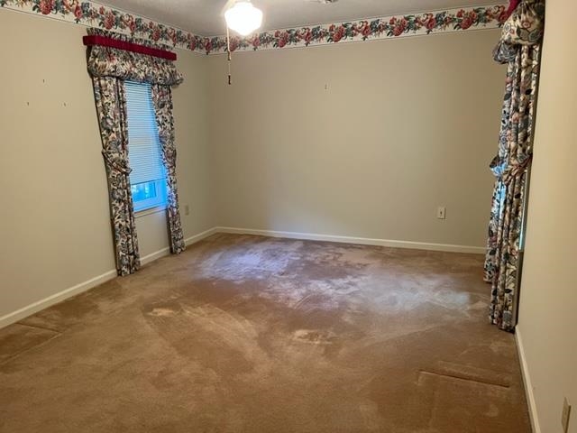 365 SCARLETTS WAY