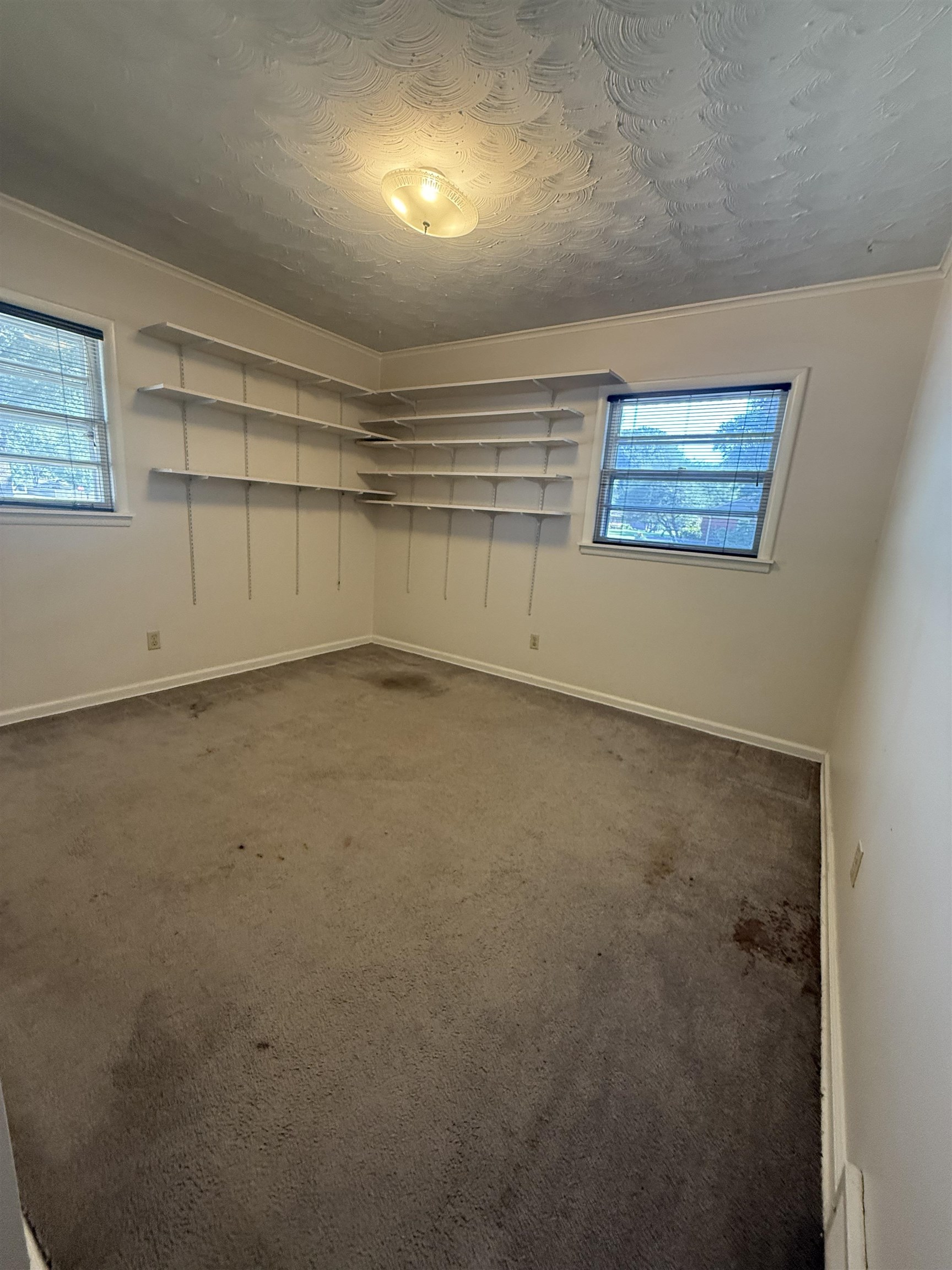 365 LEONORA DR