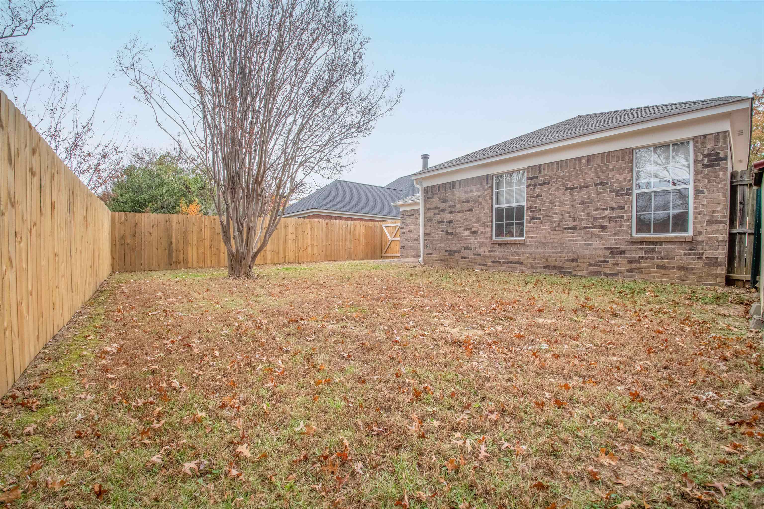 Fenced backyard with a leaf-strewn lawn, mature tree, and brick house.