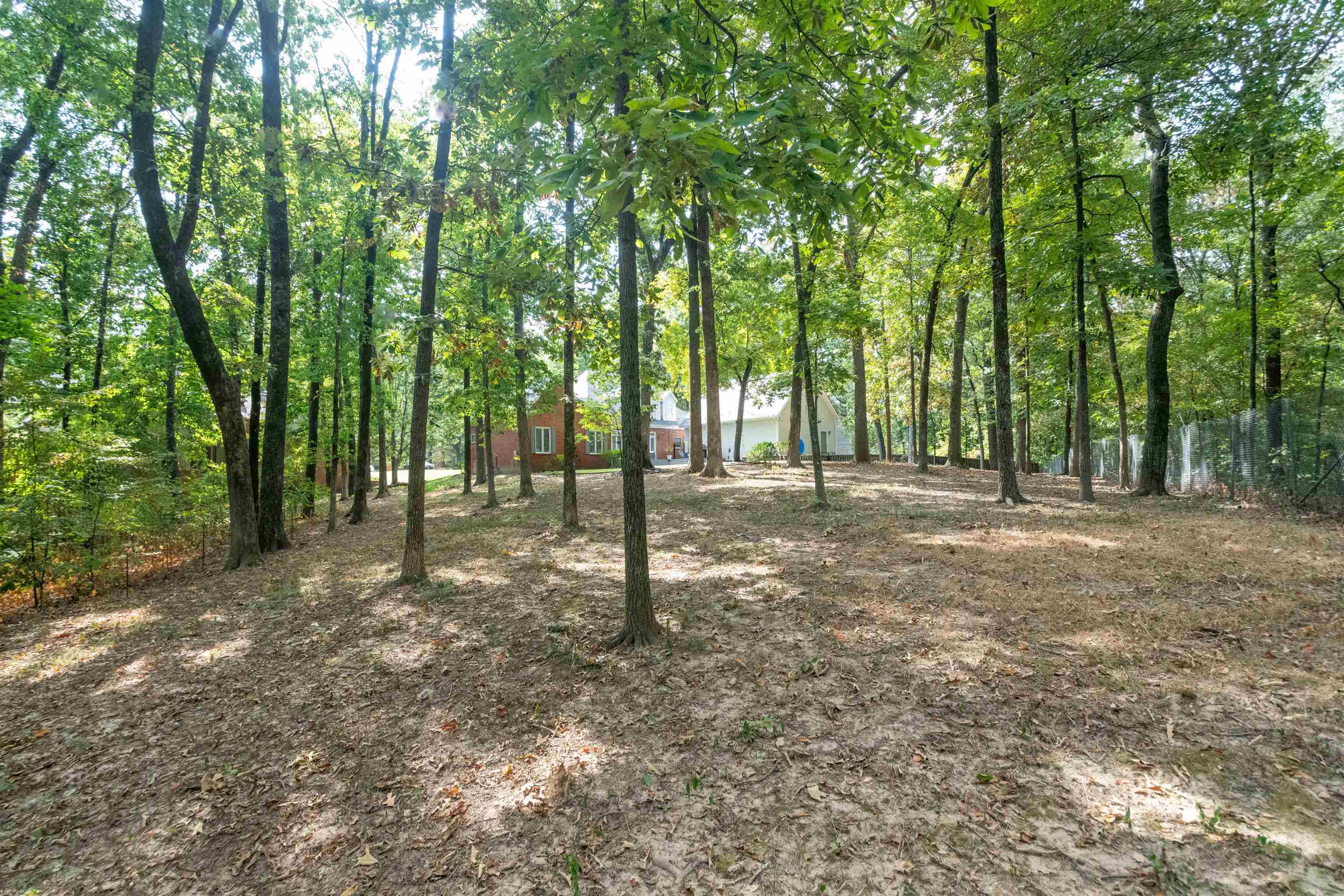 7816 WOOD GLEN CV