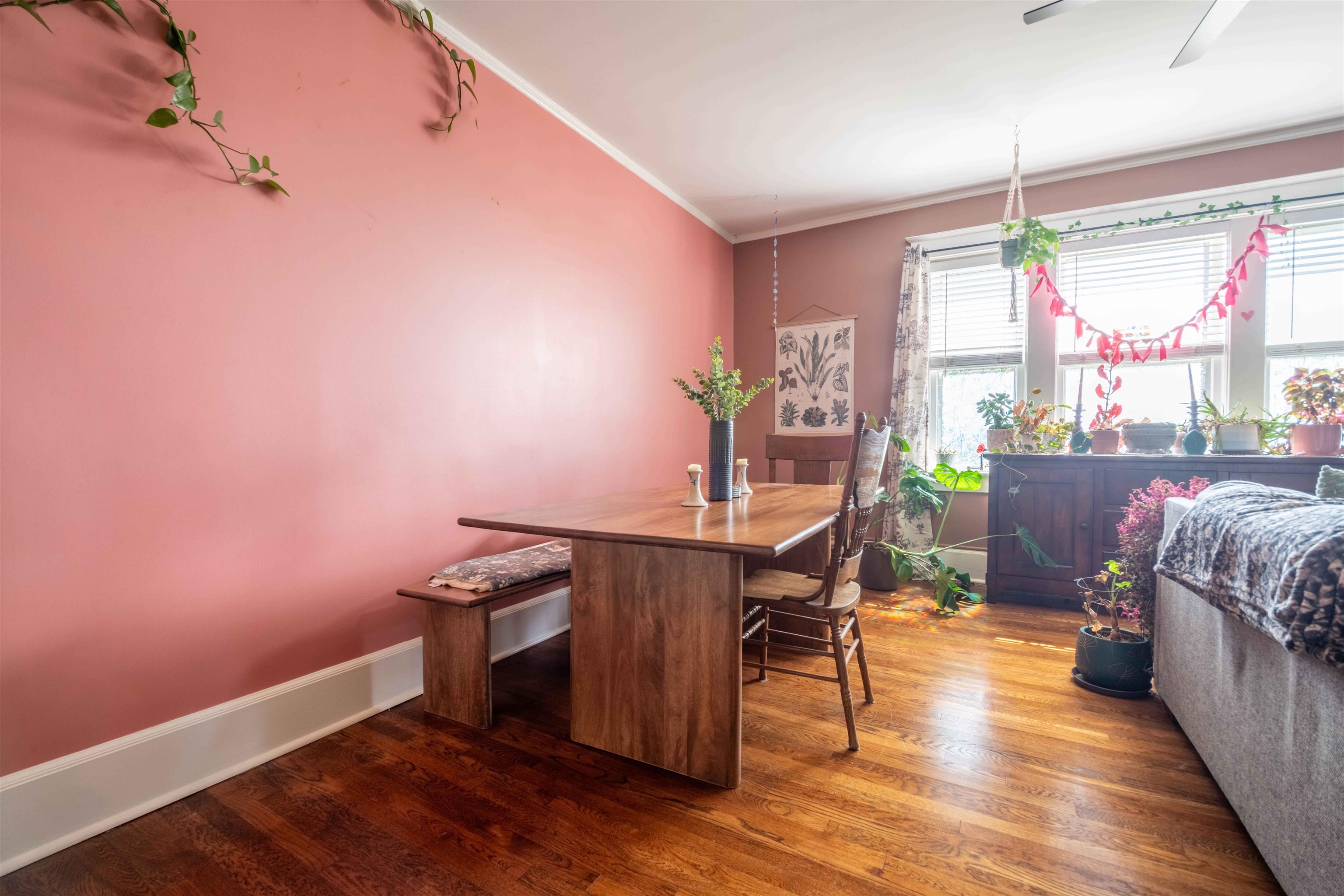 Dining area with a wooden table, pink walls, hardwood floors, and plants by bright windows.