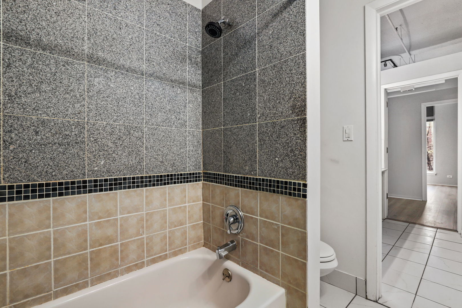 633 S Plymouth Court Unit: 202