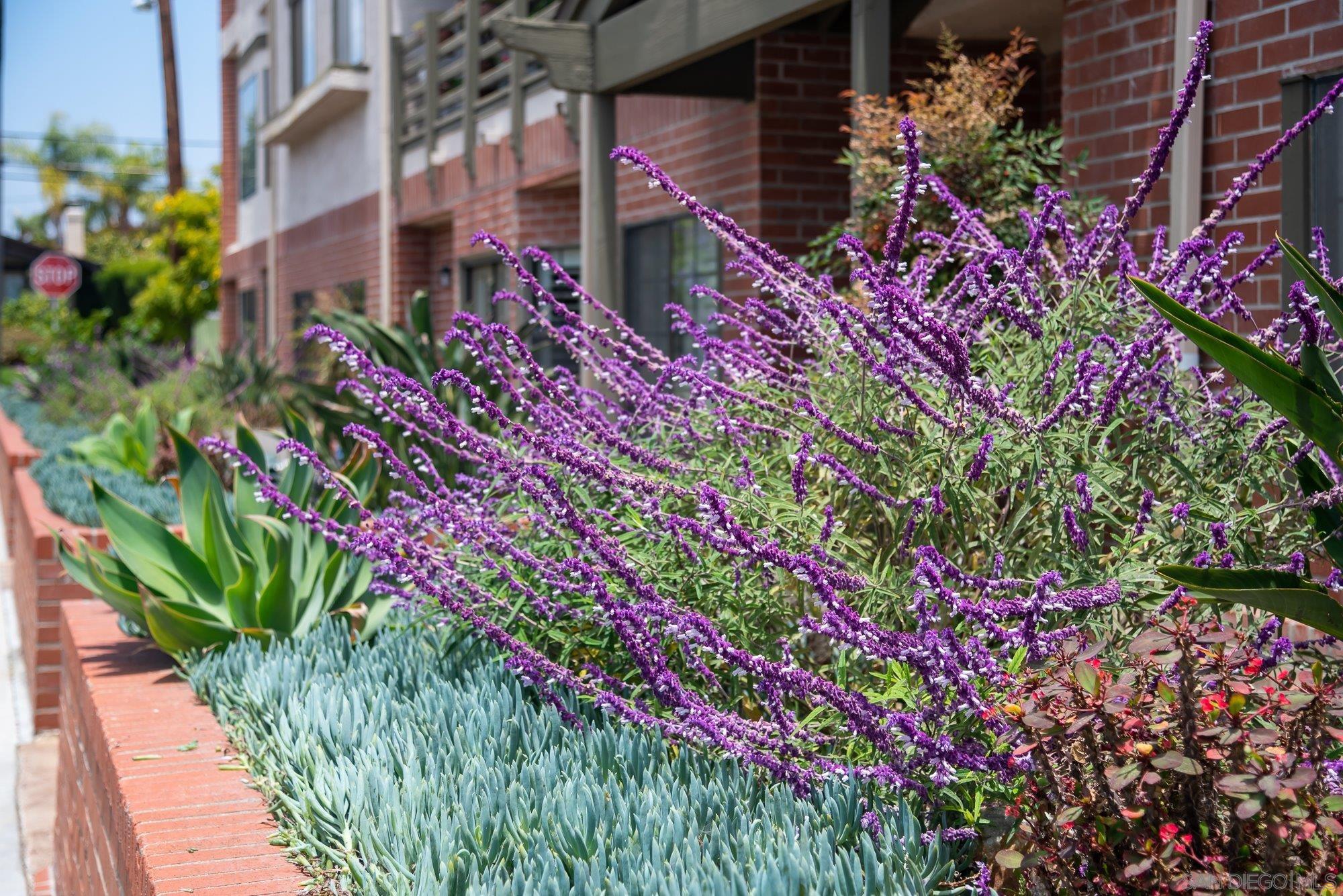 909 Sutter St Unit: 105