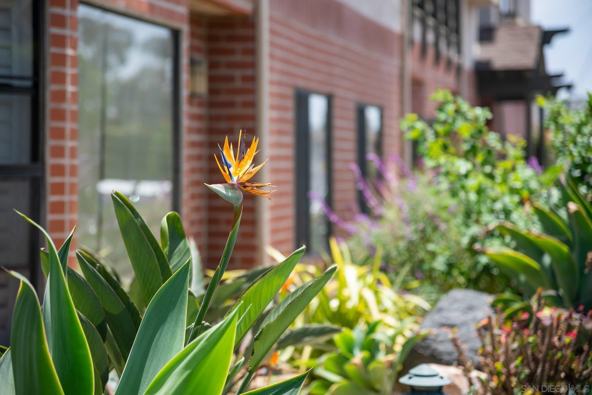 909 Sutter St Unit: 105