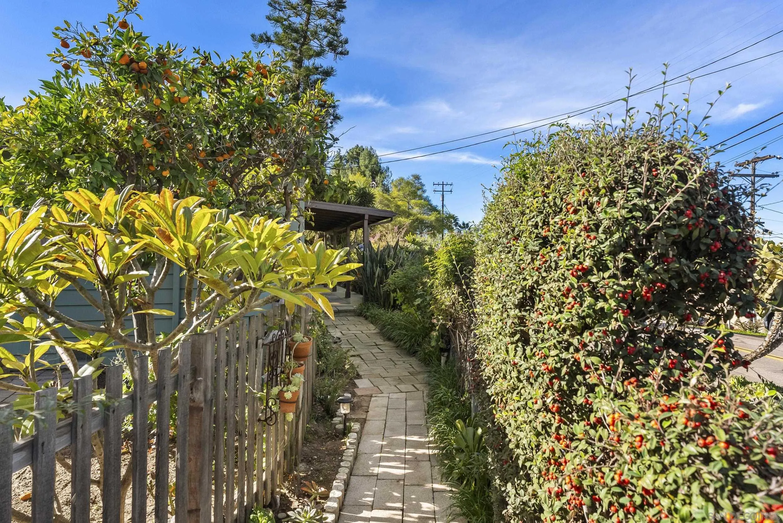 620 Plumosa Ave