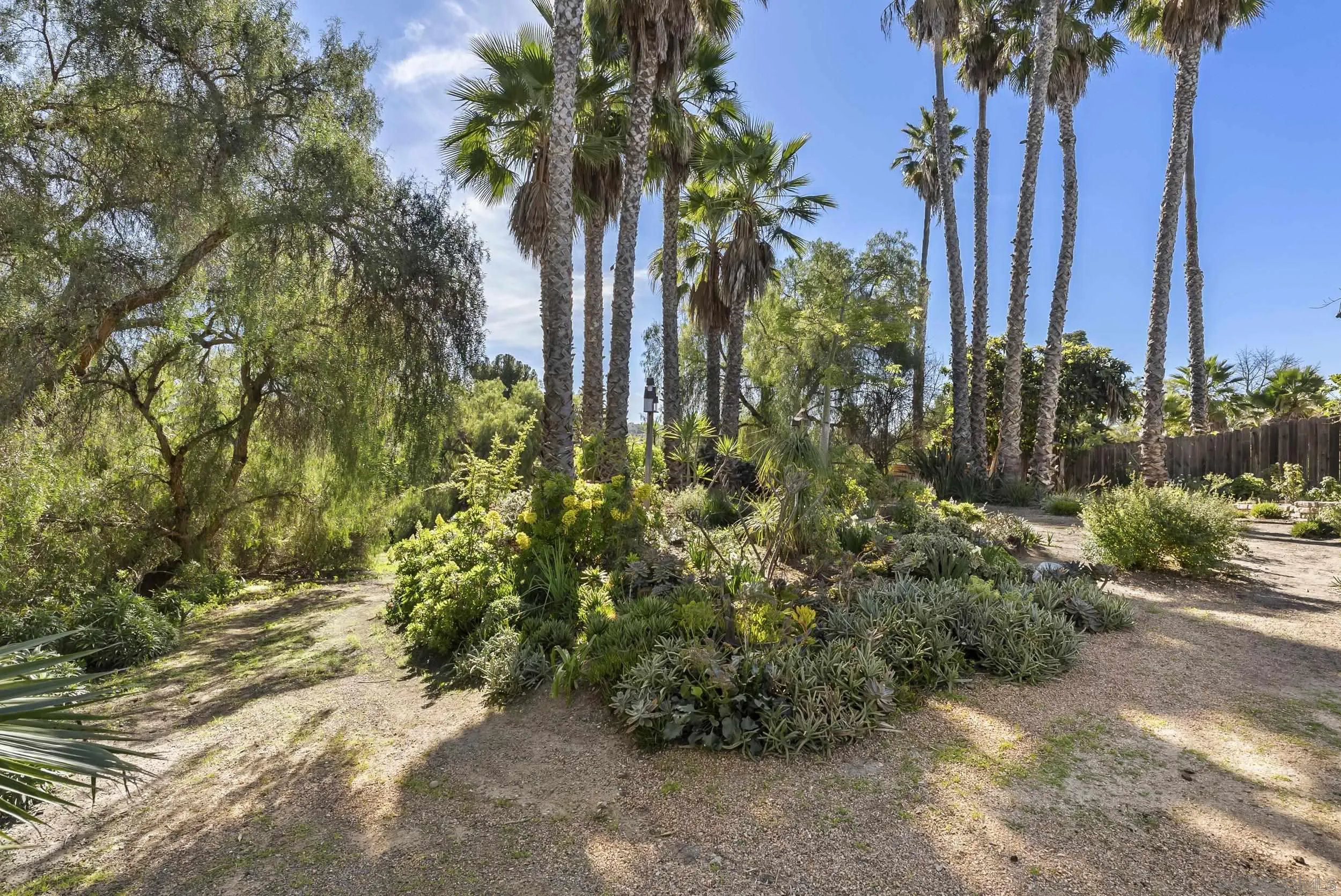 620 Plumosa Ave