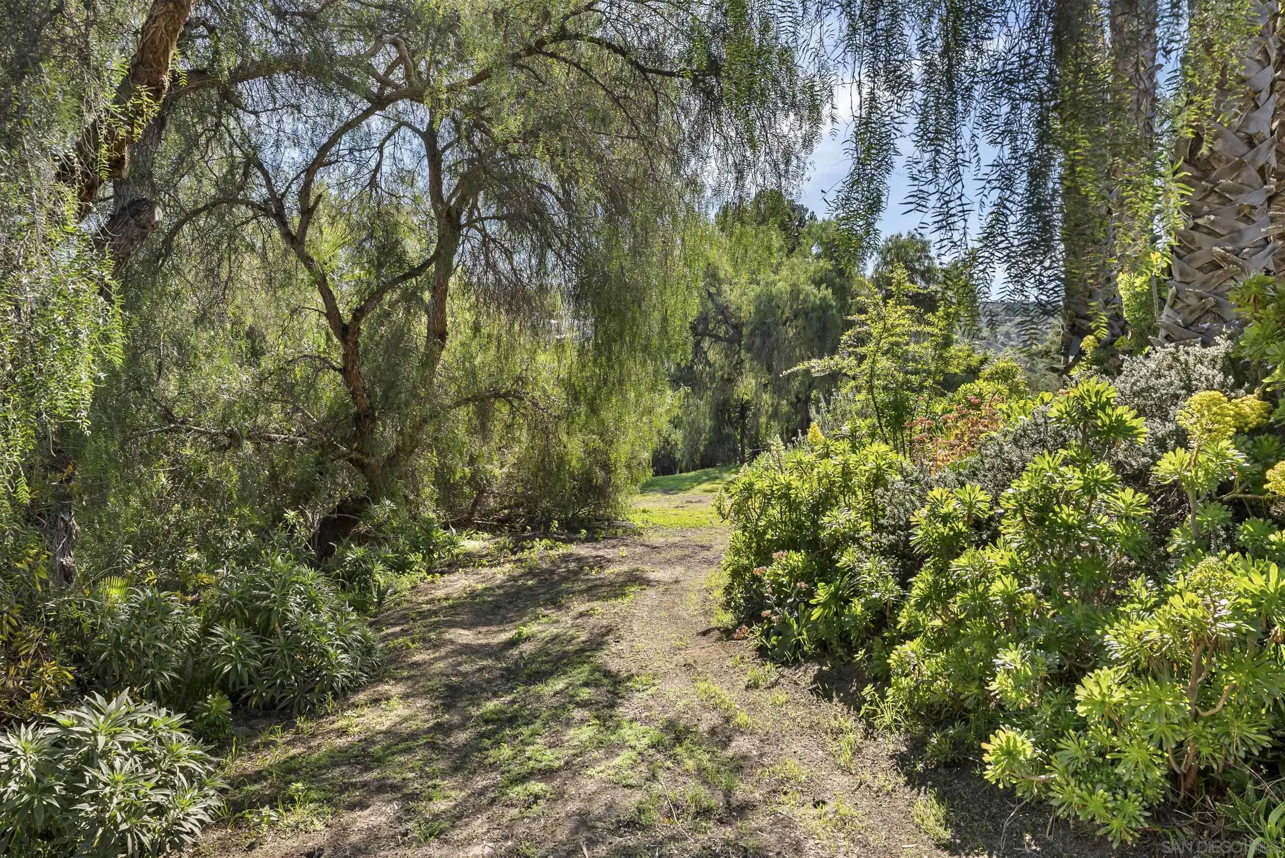 620 Plumosa Ave