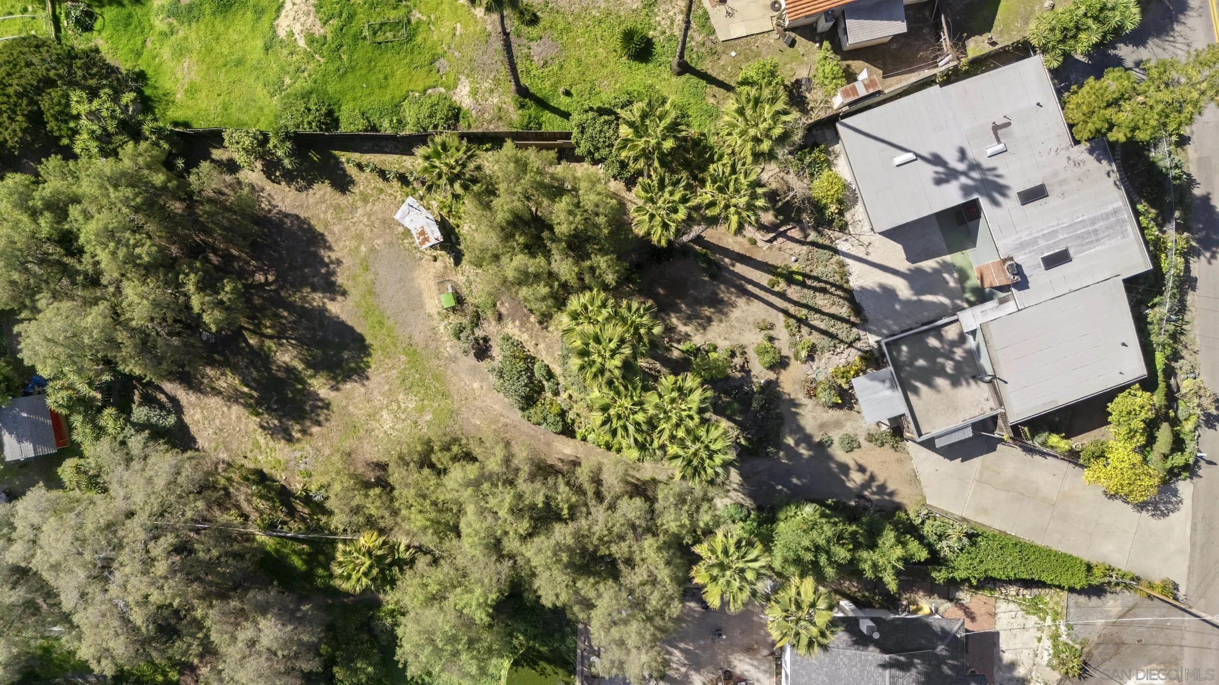 620 Plumosa Ave