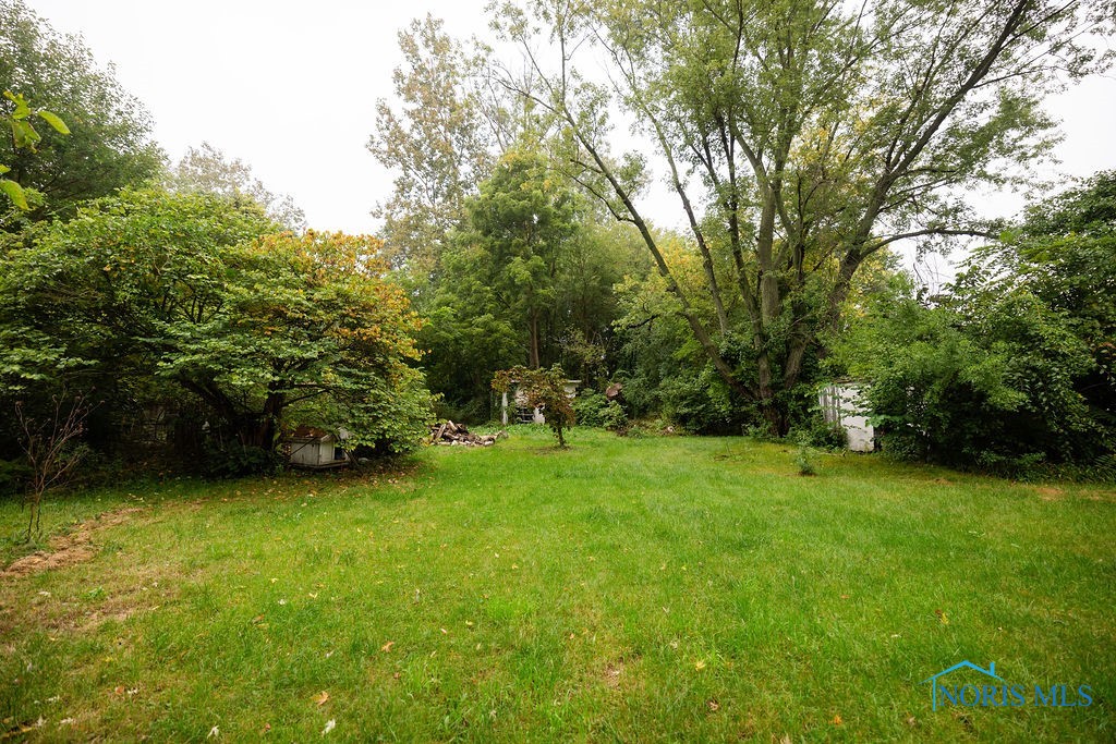 919 Rall Road