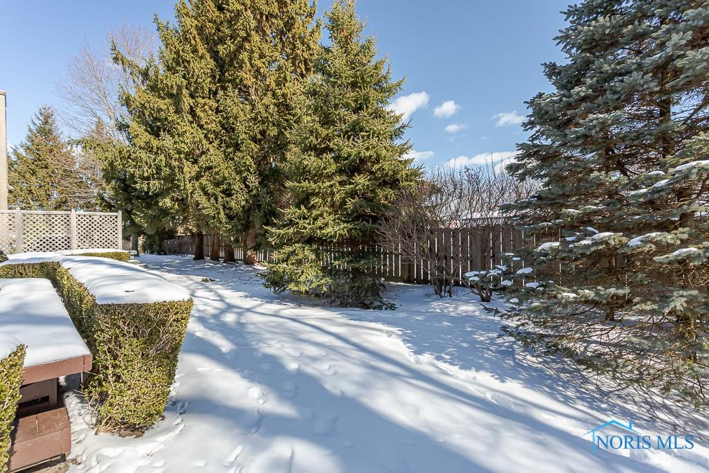 6743 Carrie Pine Lane 6743