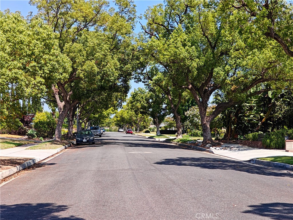 3165 Primavera Street