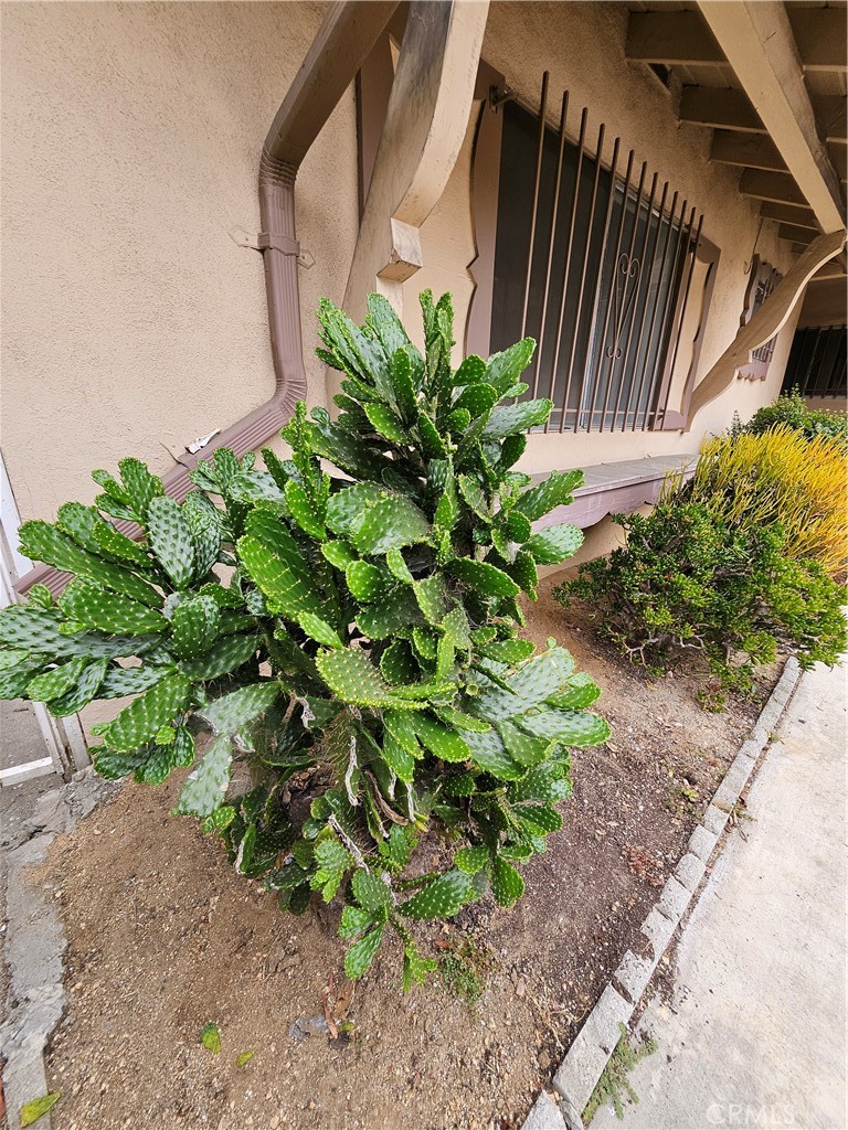 8009 Lake Knoll Drive