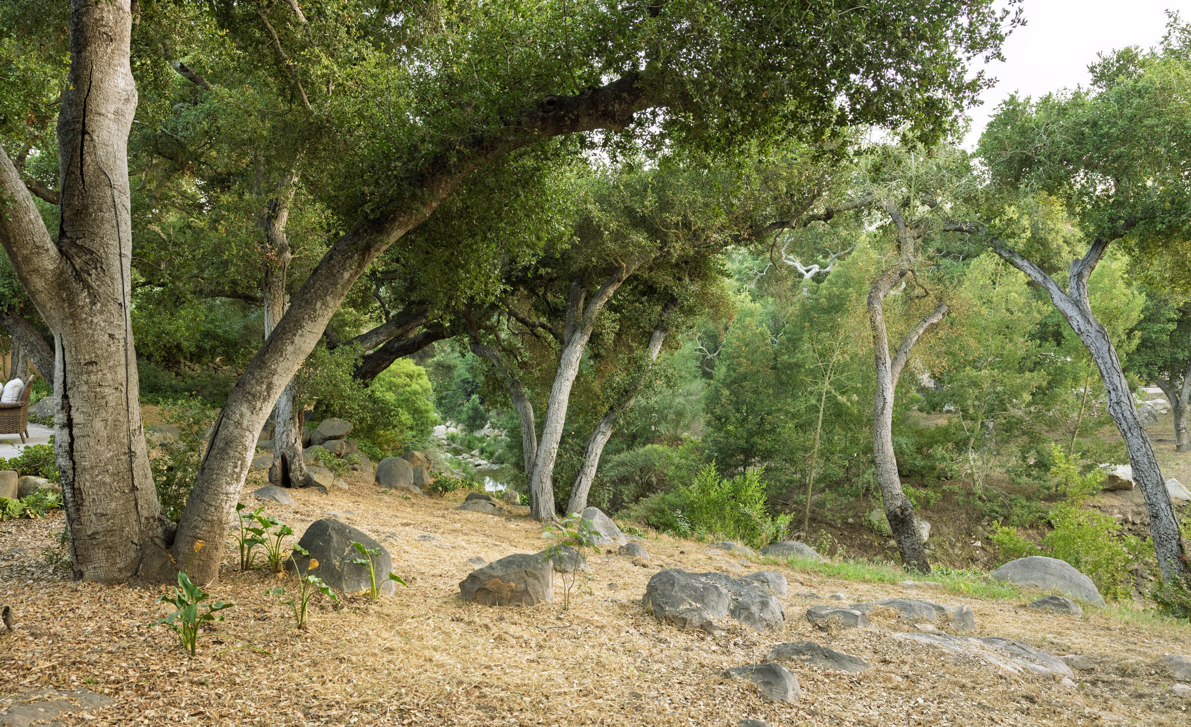 1067 E Mountain Drive