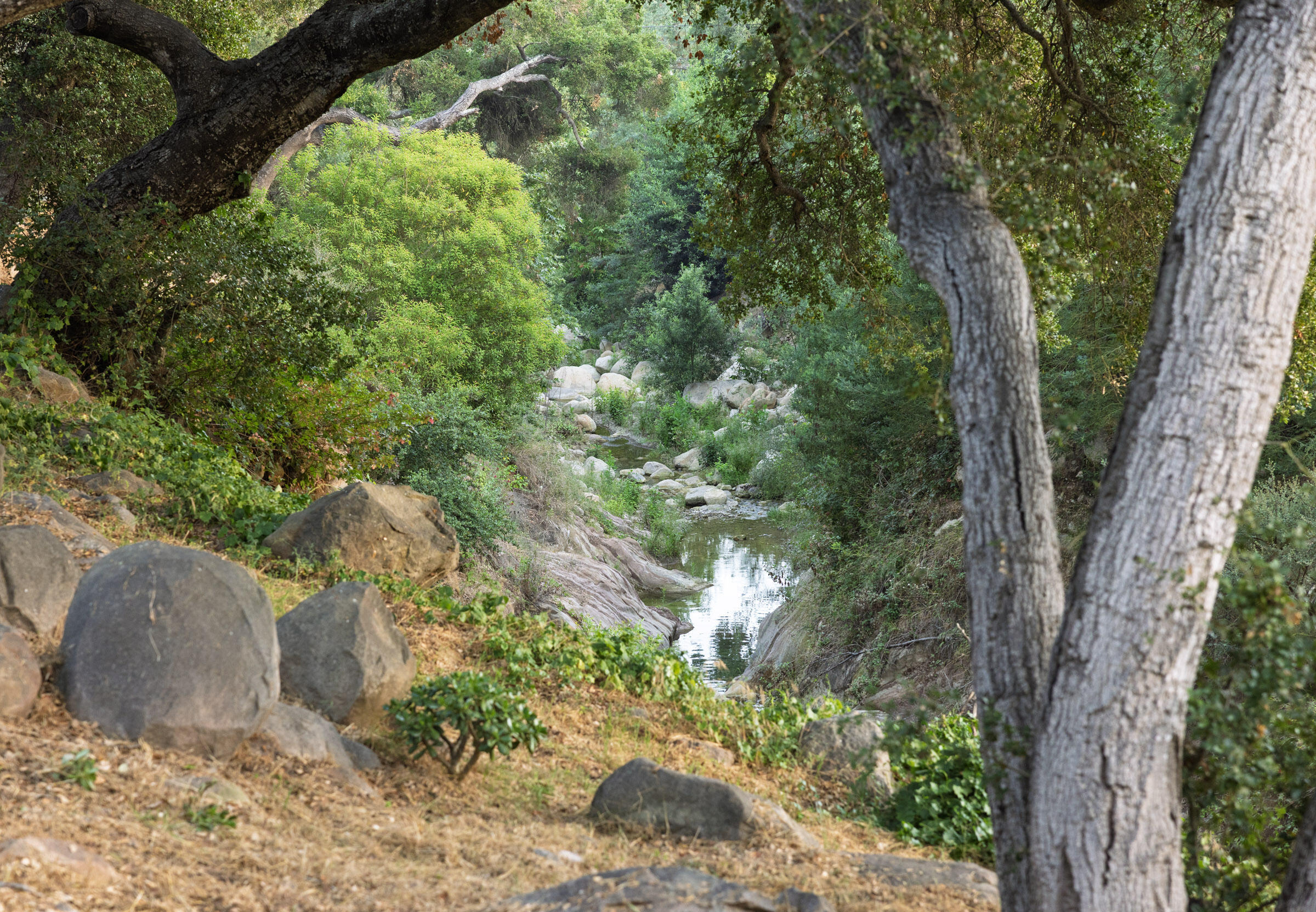 1067 E Mountain Drive