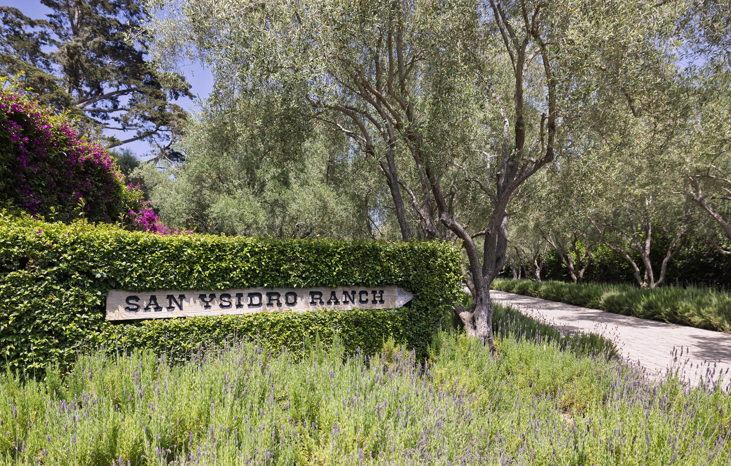 1067 E Mountain Drive