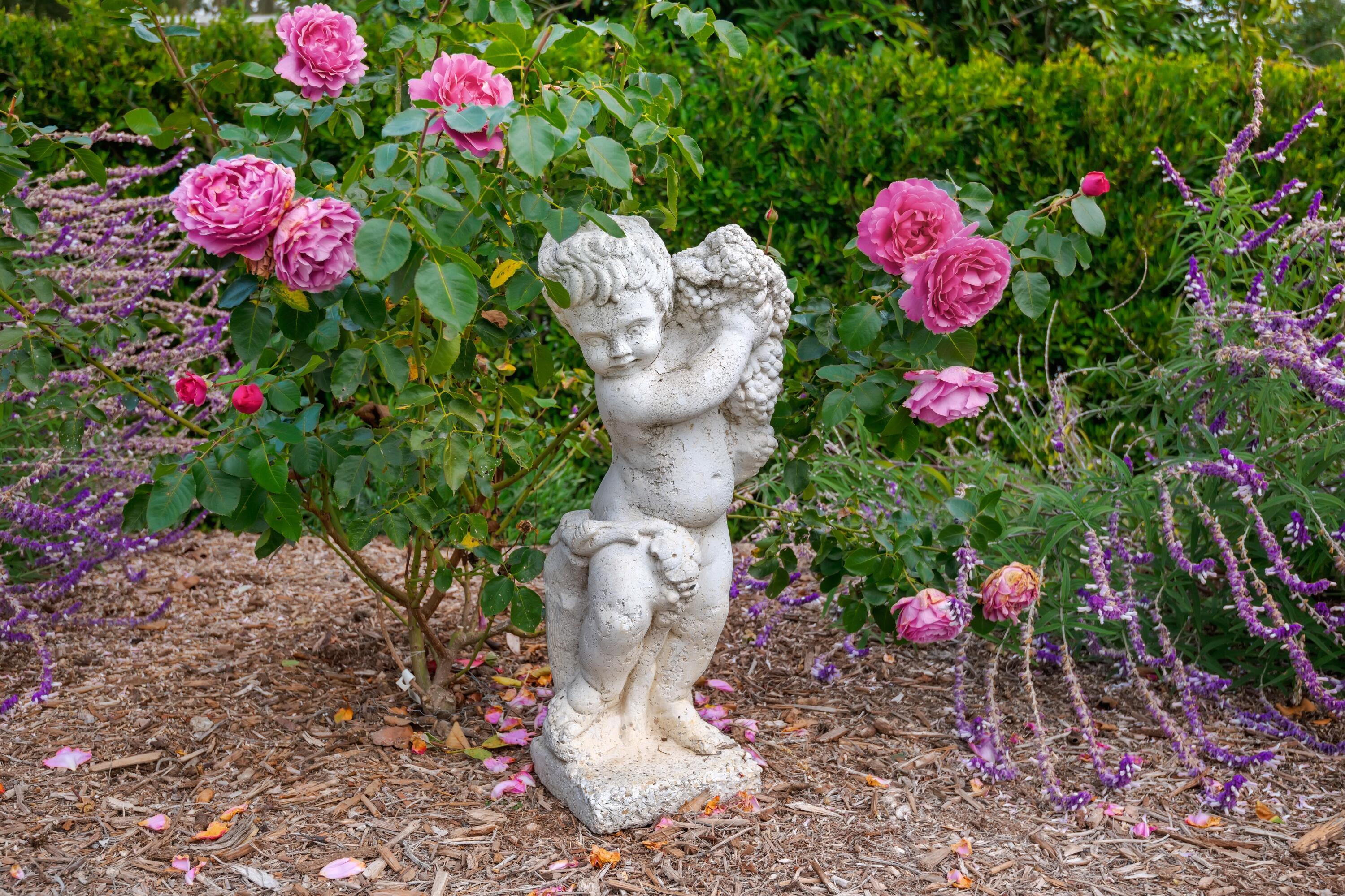 1071 E Mountain Drive