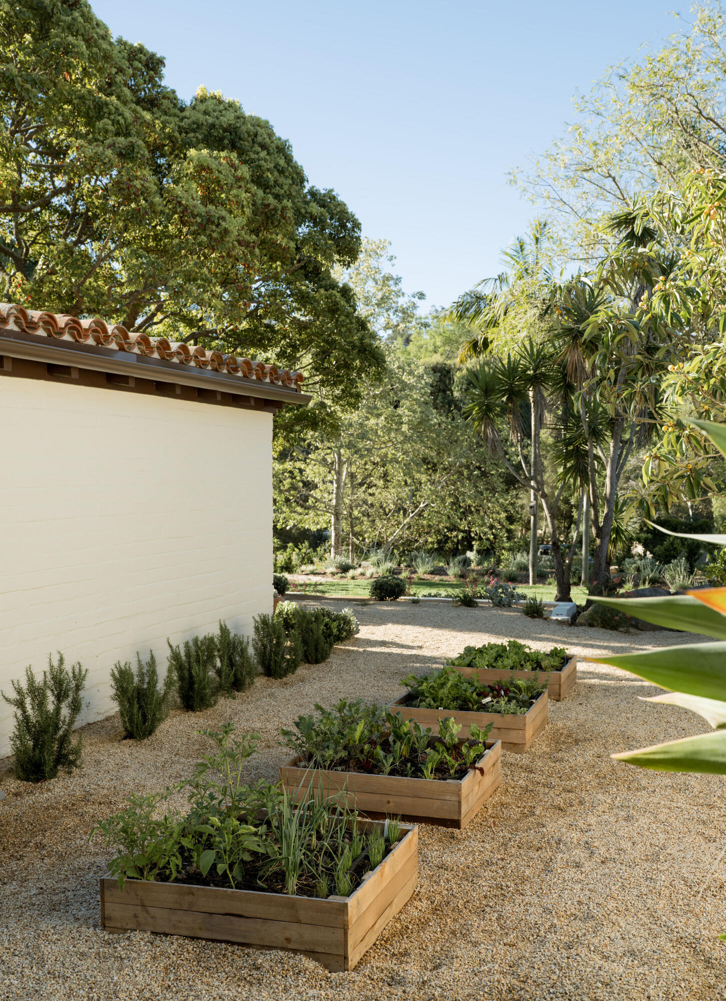 485 Mountain Drive