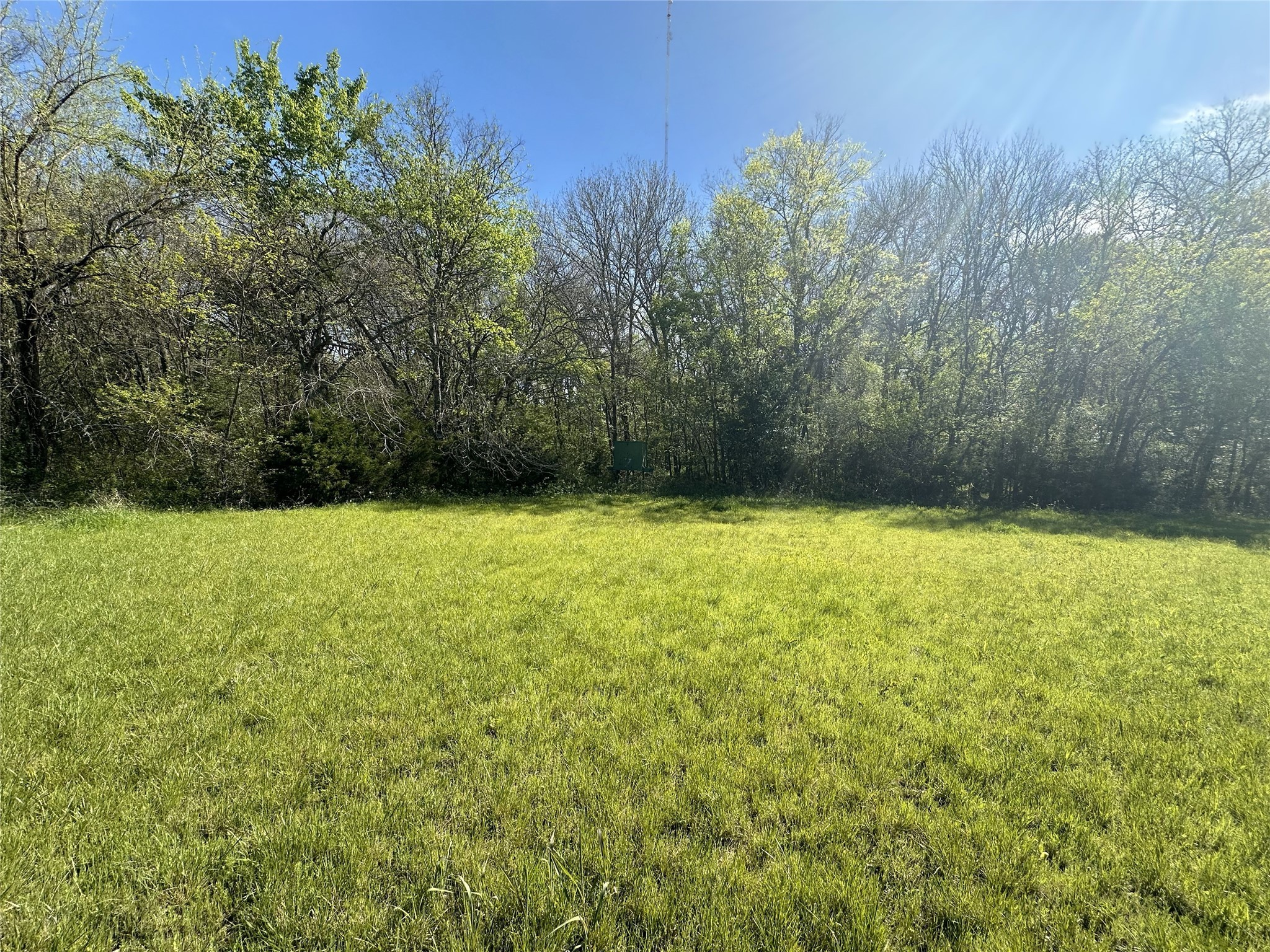 4462 Rose Hill Road