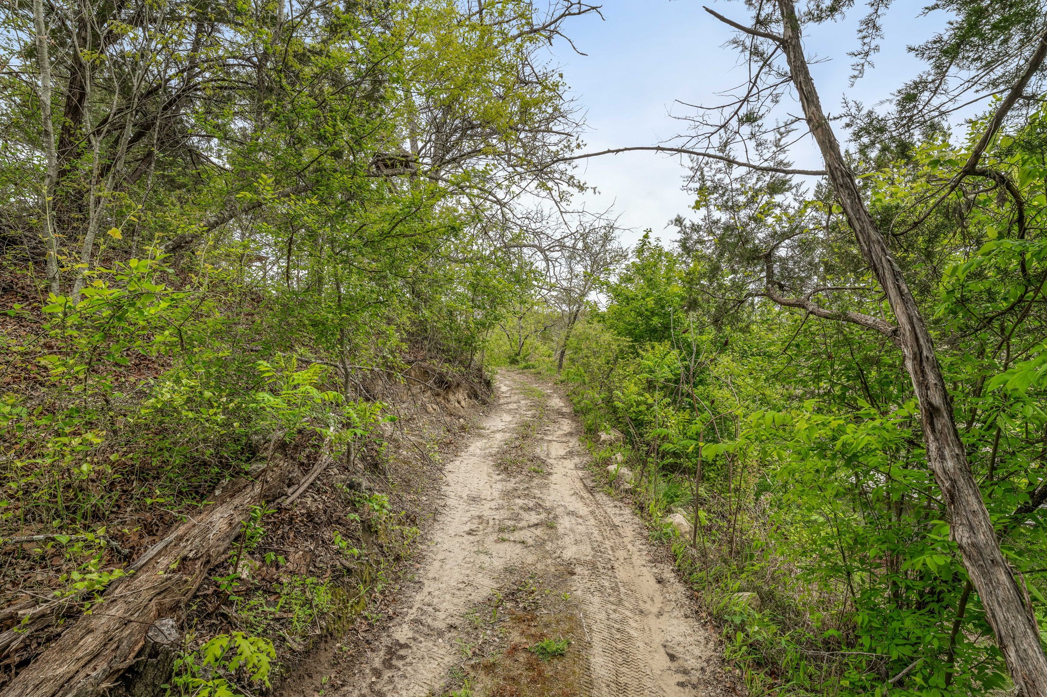 2807 Comanche Trail