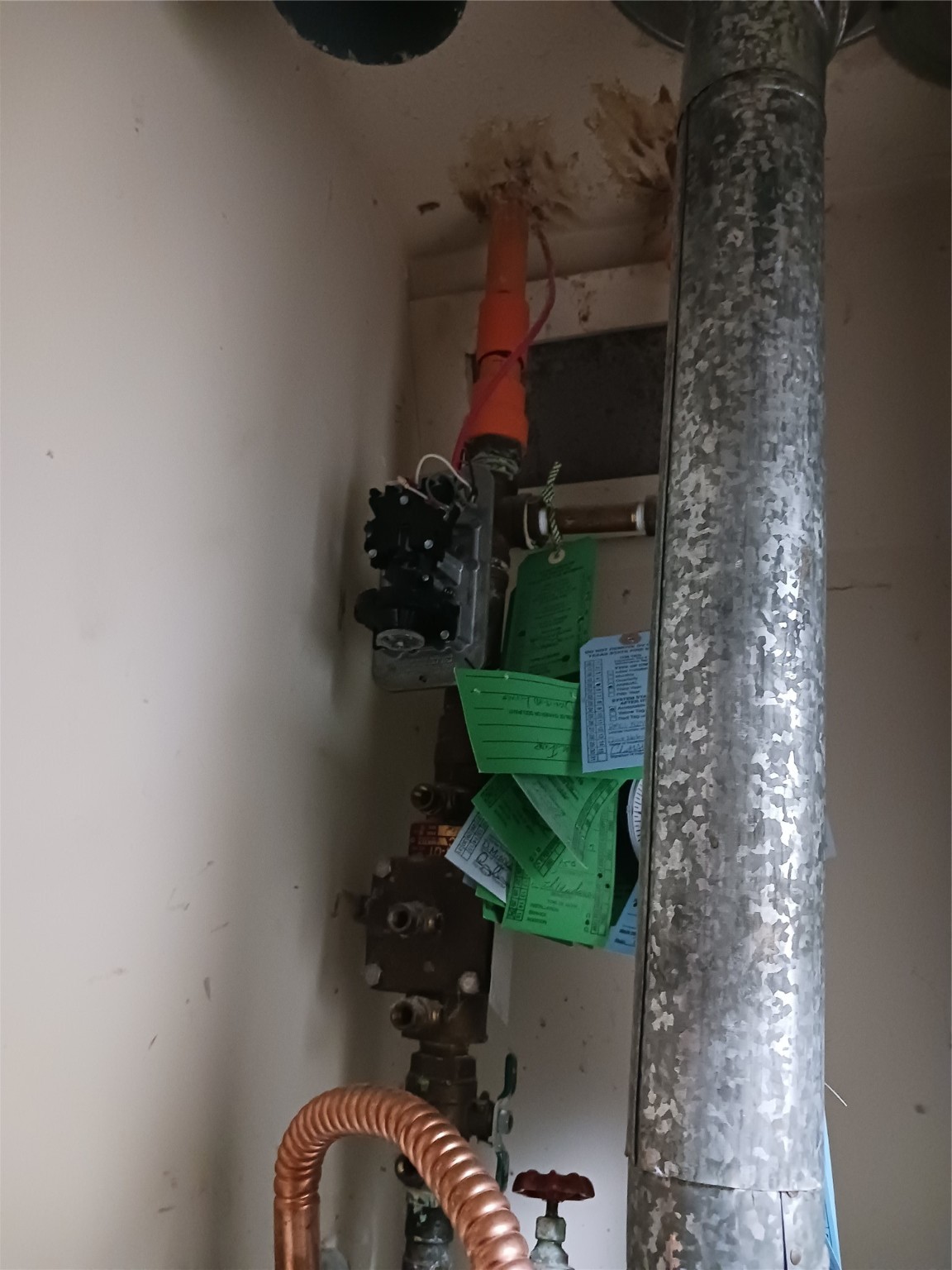 2206 Blue Cypress Drive