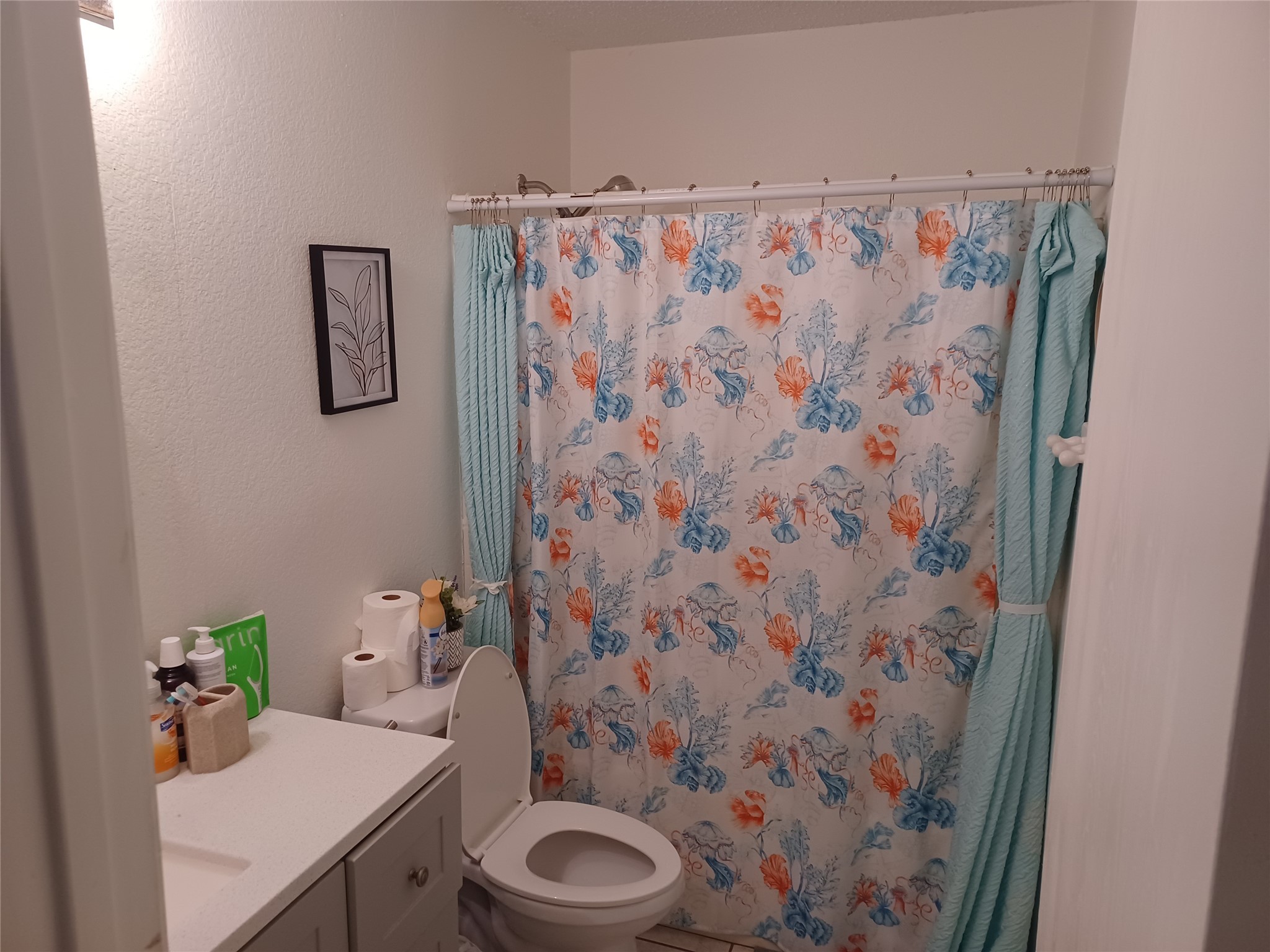 2808 Goldfinch Drive