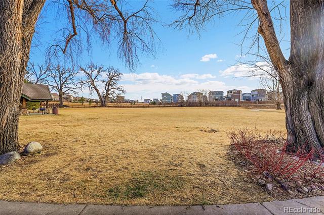 3793 Summerwood Way