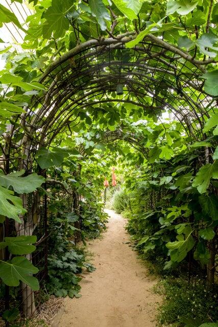 320 E Victoria Street, A